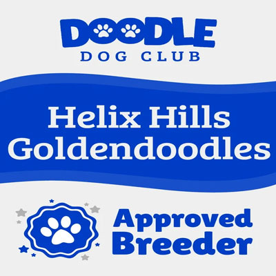 Doodle Dog Club approved breeder badge for Helix Hills Goldendoodles