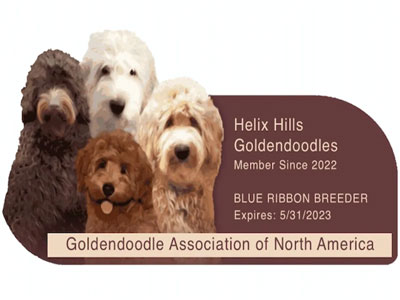 Goldendoodle Association of North America breeder badge for Helix Hills Goldendoodles