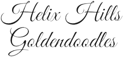 Helix Hills Goldendoodles