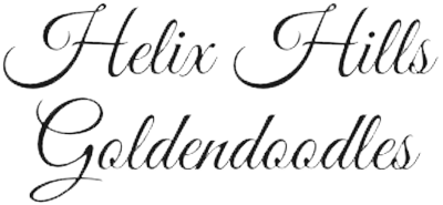 Helix Hills Goldendoodles logo